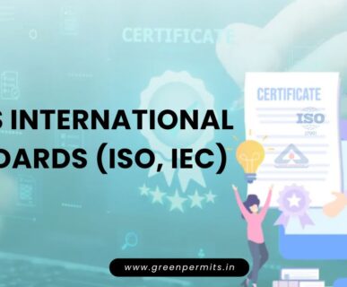 BIS VS International Standards