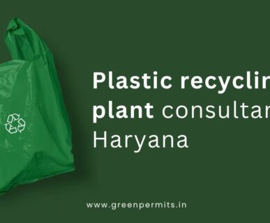 Plastic Recycling Plant Consultants in Haryana
