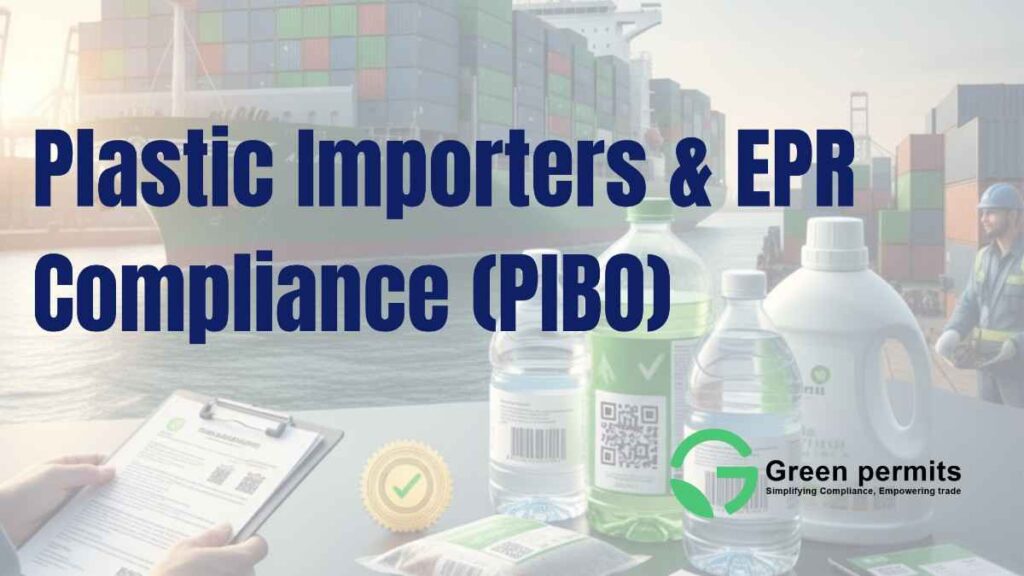 Plastic Importers & EPR Compliance (PIBO)