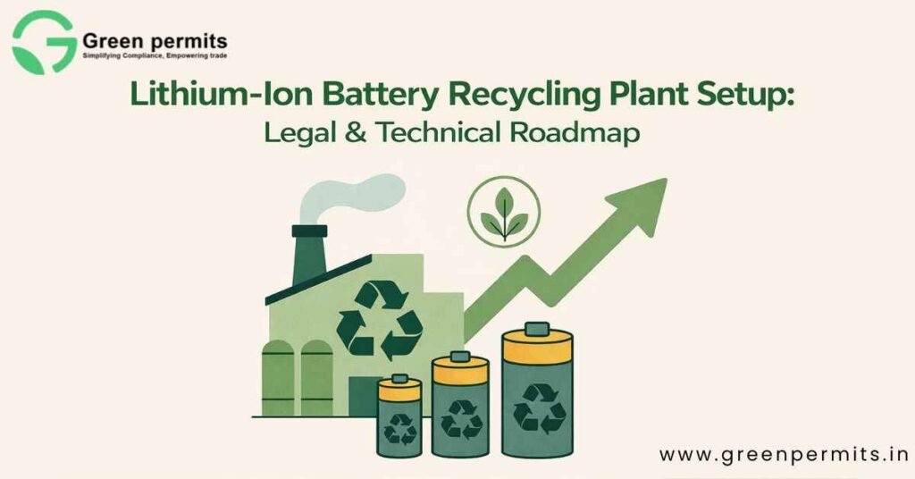 lithium Plant Legal and technical road map