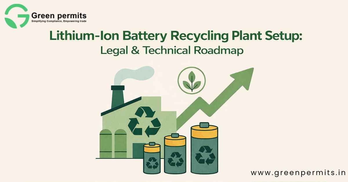lithium Plant Legal and technical road map