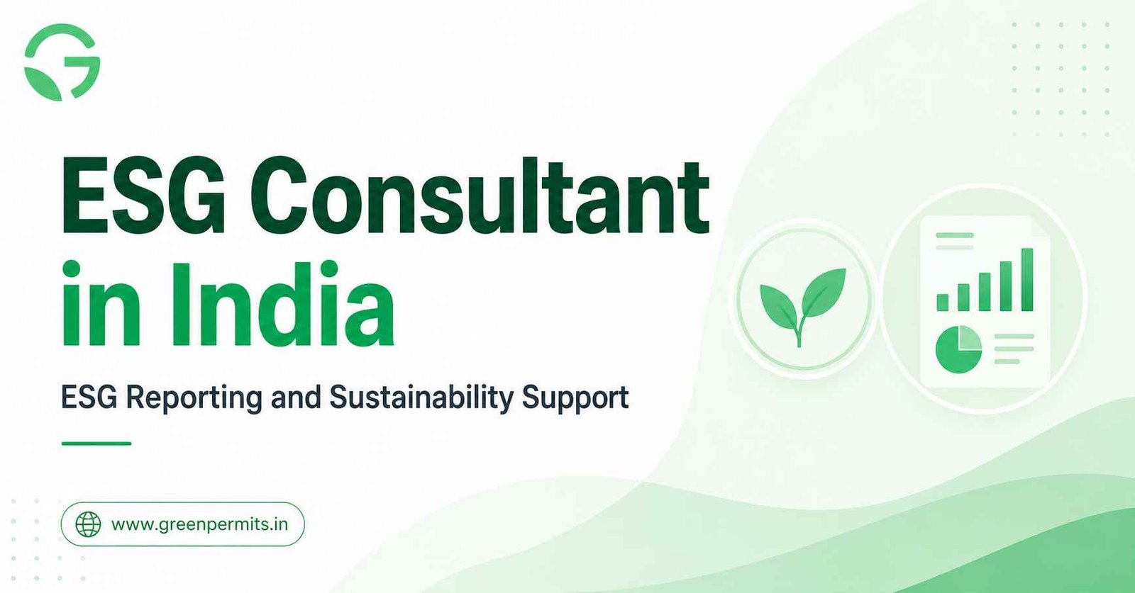 ESG Consultant