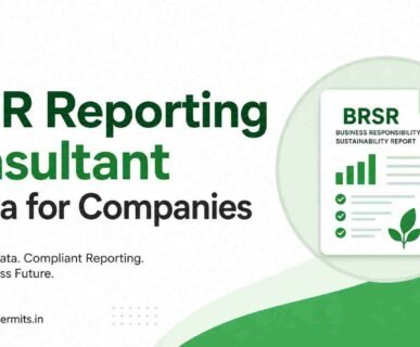 BRSR Reporting Consultant