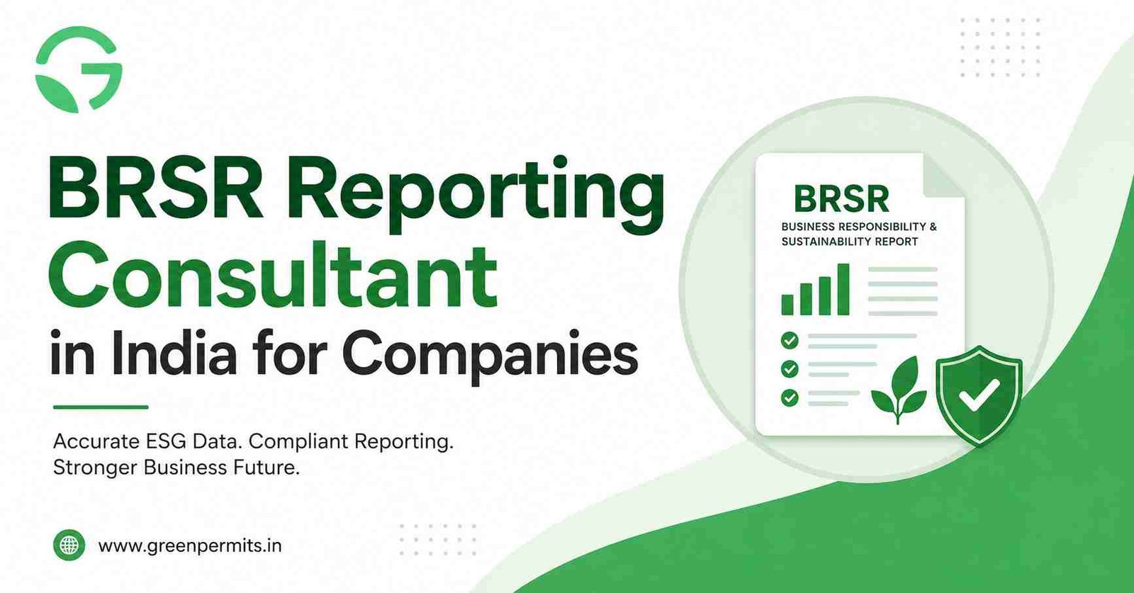 BRSR Reporting Consultant