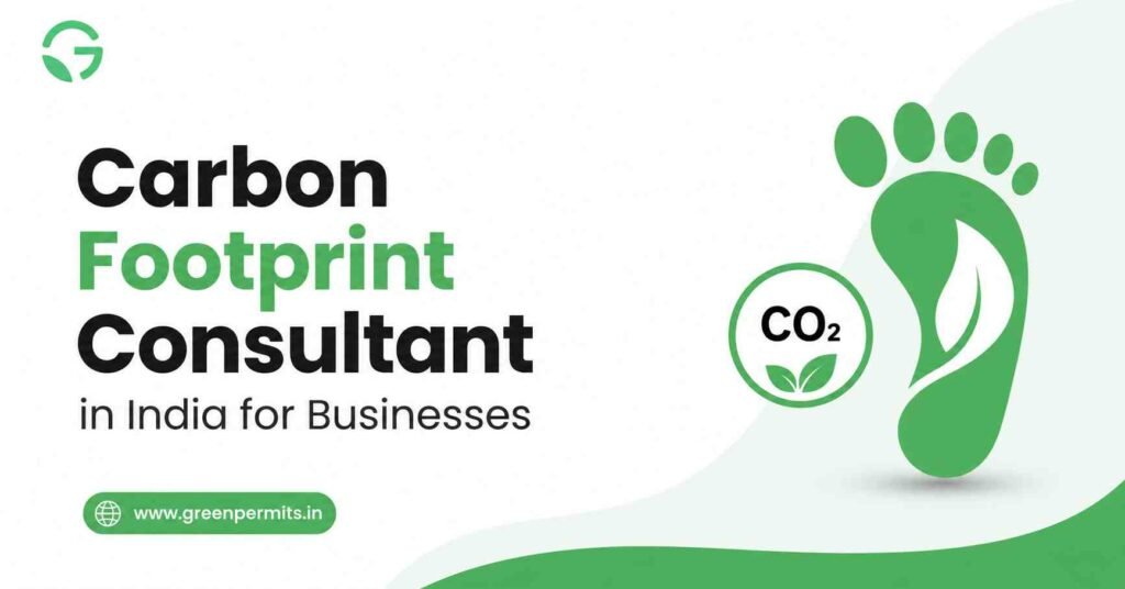 Carbon Footprint Consultant