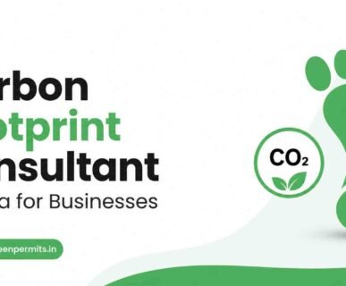 Carbon Footprint Consultant