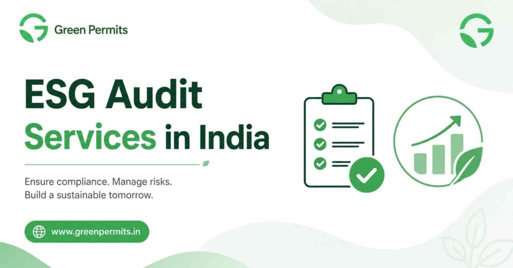 ESG Audit