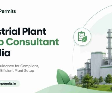Industrial Plant setup Consultant