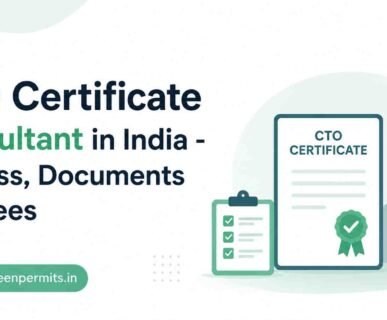CTO Certification Consultant