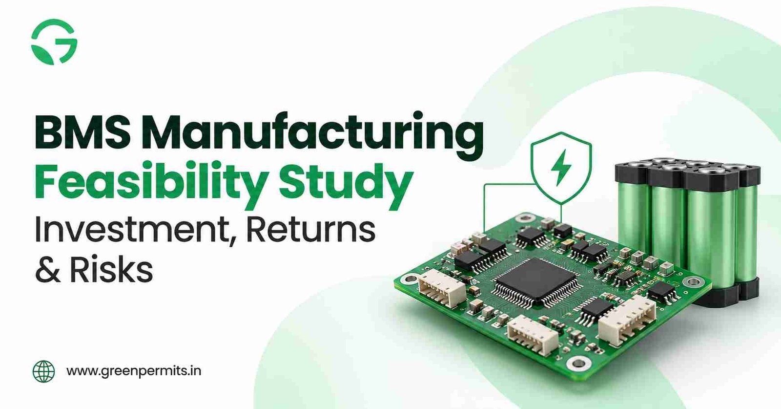 BMS Manufacturing Feasibility Study: Investment, Returns and Risks
